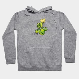 Hello spring.  T-shirt with primrose Hoodie
